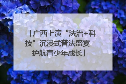 广西上演“法治+科技”沉浸式普法盛宴 护航青少年成长