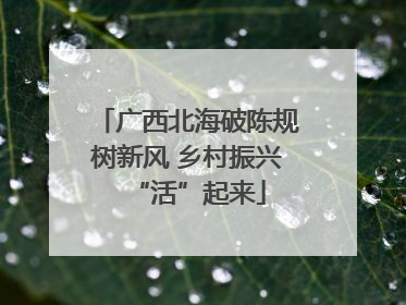 广西北海破陈规树新风 乡村振兴“活”起来
