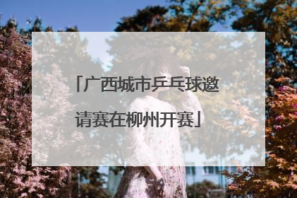 广西城市乒乓球邀请赛在柳州开赛