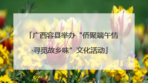 广西容县举办“侨聚端午情·寻觅故乡味”文化活动