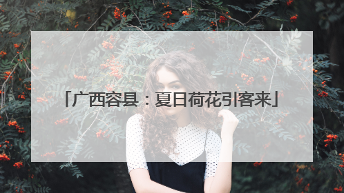 广西容县：夏日荷花引客来