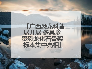 广西恐龙科普展开展 多具珍贵恐龙化石骨架标本集中亮相