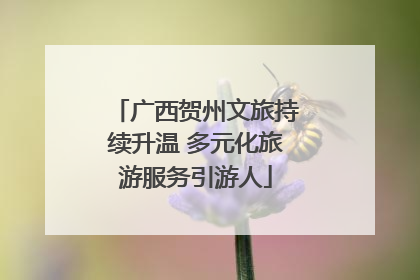 广西贺州文旅持续升温 多元化旅游服务引游人