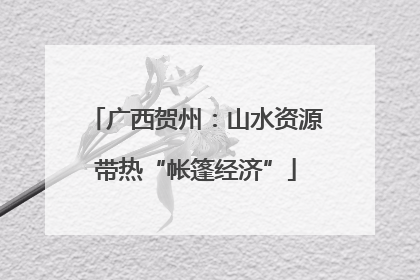 广西贺州：山水资源带热“帐篷经济”