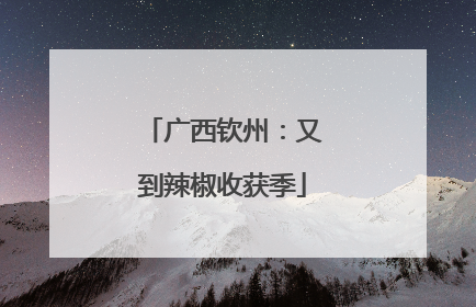广西钦州：又到辣椒收获季