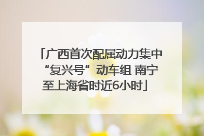 广西首次配属动力集中“复兴号”动车组 南宁至上海省时近6小时