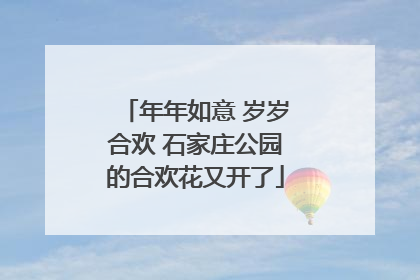 年年如意 岁岁合欢 石家庄公园的合欢花又开了
