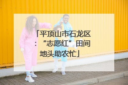 平顶山市石龙区：“志愿红”田间地头助农忙