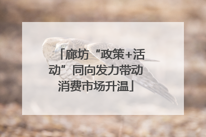 廊坊“政策+活动”同向发力带动消费市场升温