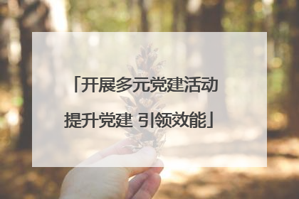 开展多元党建活动 提升党建 引领效能