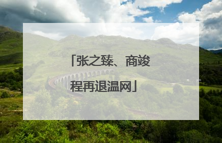 张之臻、商竣程再退温网