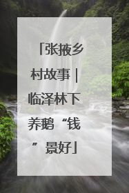 张掖乡村故事｜临泽林下养鹅“钱”景好