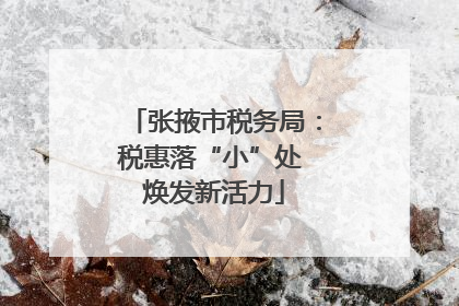 张掖市税务局：税惠落“小”处 焕发新活力