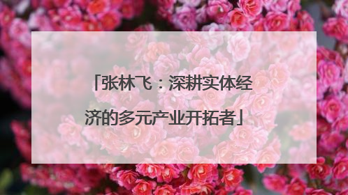 张林飞：深耕实体经济的多元产业开拓者