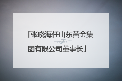 张晓海任山东黄金集团有限公司董事长