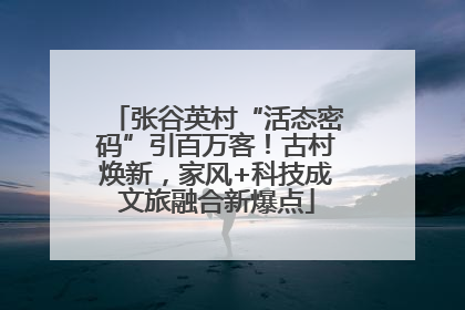 张谷英村“活态密码”引百万客！古村焕新，家风+科技成文旅融合新爆点