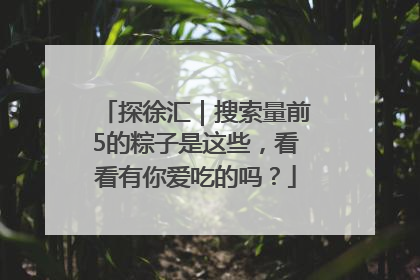 探徐汇｜搜索量前5的粽子是这些，看看有你爱吃的吗？