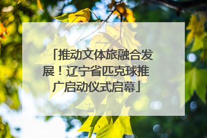 推动文体旅融合发展！辽宁省匹克球推广启动仪式启幕