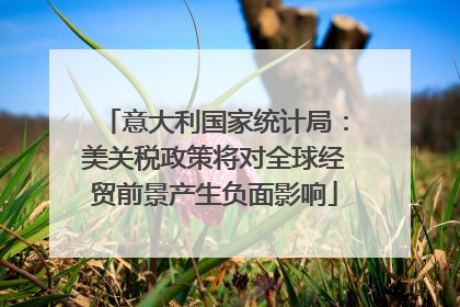 意大利国家统计局：美关税政策将对全球经贸前景产生负面影响
