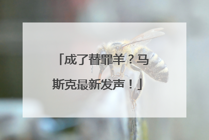 成了替罪羊？马斯克最新发声！