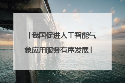我国促进人工智能气象应用服务有序发展