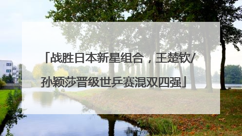 战胜日本新星组合，王楚钦/孙颖莎晋级世乒赛混双四强