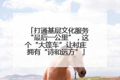 打通基层文化服务“最后一公里”，这个“大篷车”让村庄拥有“诗和远方”