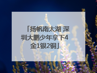 扬帆南太湖 深圳大鹏少年拿下4金1银2铜