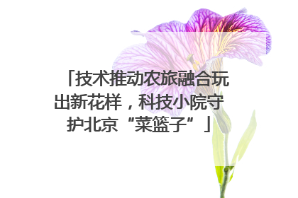 技术推动农旅融合玩出新花样，科技小院守护北京“菜篮子”