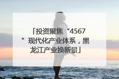投资聚焦“4567”现代化产业体系，黑龙江产业换新景
