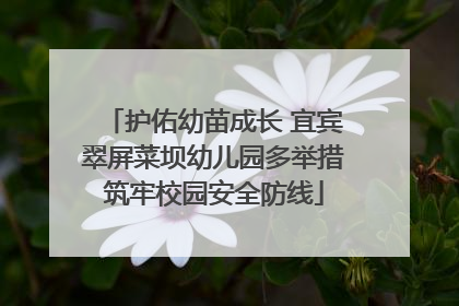 护佑幼苗成长 宜宾翠屏菜坝幼儿园多举措筑牢校园安全防线