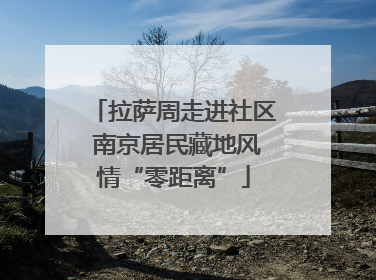 拉萨周走进社区 南京居民藏地风情“零距离”