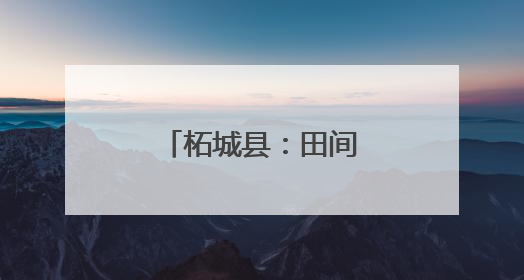 柘城县：田间管理送地头 抗旱保苗保丰收