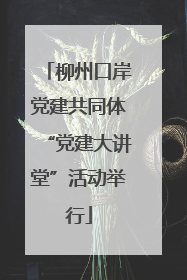 柳州口岸党建共同体“党建大讲堂”活动举行
