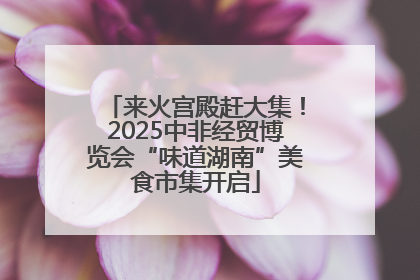 来火宫殿赶大集！2025中非经贸博览会“味道湖南”美食市集开启