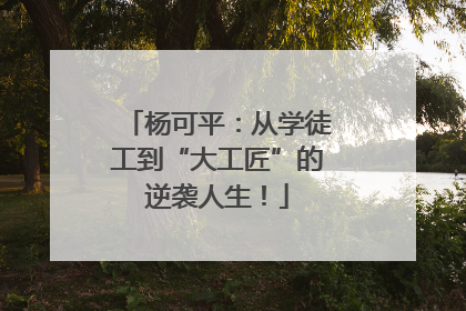 杨可平：从学徒工到“大工匠”的逆袭人生！