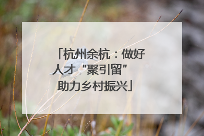 杭州余杭：做好人才“聚引留” 助力乡村振兴