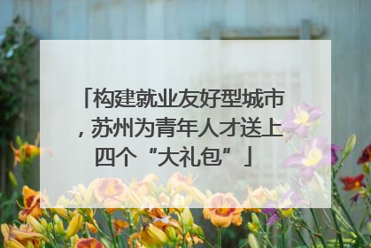 构建就业友好型城市，苏州为青年人才送上四个“大礼包”