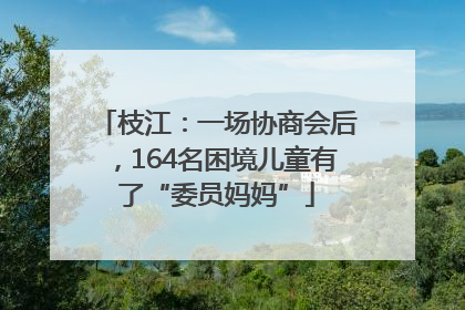 枝江：一场协商会后，164名困境儿童有了“委员妈妈”