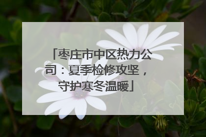 枣庄市中区热力公司：夏季检修攻坚，守护寒冬温暖