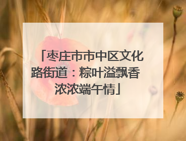 枣庄市市中区文化路街道：粽叶溢飘香 浓浓端午情
