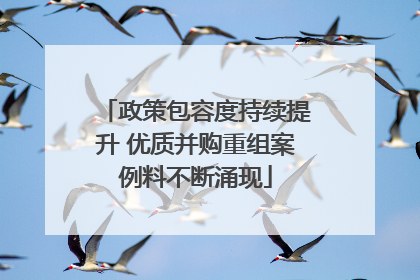 政策包容度持续提升 优质并购重组案例料不断涌现
