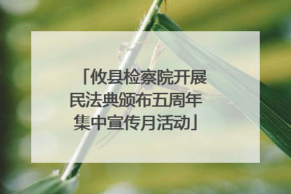 攸县检察院开展民法典颁布五周年集中宣传月活动
