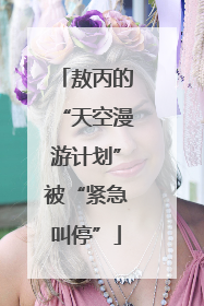 敖丙的“天空漫游计划”被“紧急叫停”