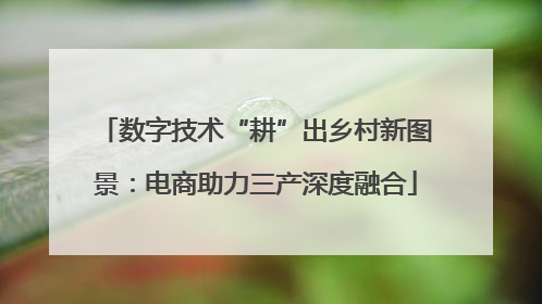 数字技术“耕”出乡村新图景：电商助力三产深度融合