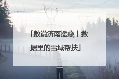 数说济南援藏丨数据里的雪域帮扶