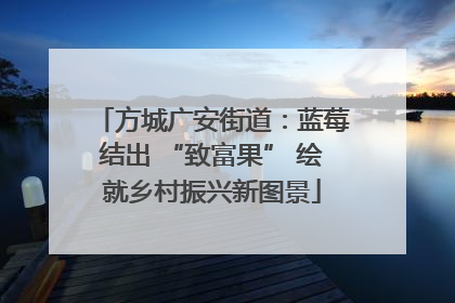 方城广安街道：蓝莓结出 “致富果” 绘就乡村振兴新图景