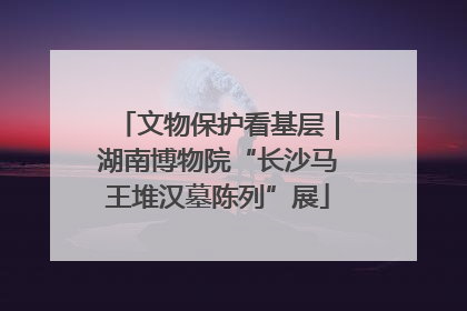 文物保护看基层｜湖南博物院“长沙马王堆汉墓陈列”展