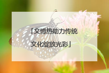 文博热助力传统文化绽放光彩