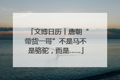 文博日历丨唐朝“带货一哥”不是马不是骆驼，而是……